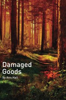 Damaged_Goods_Cover_for_Kindle